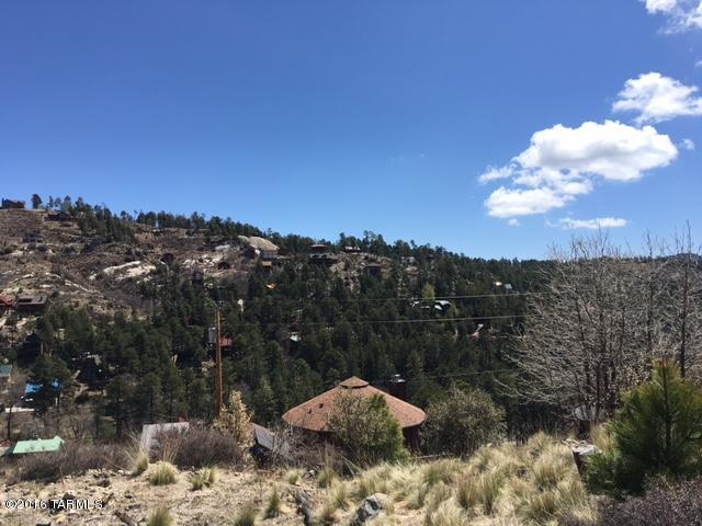 11179 East Upper Goat Hill Road, Unit 17 Mount Lemmon, AZ 85619 - Photo 4 of 10