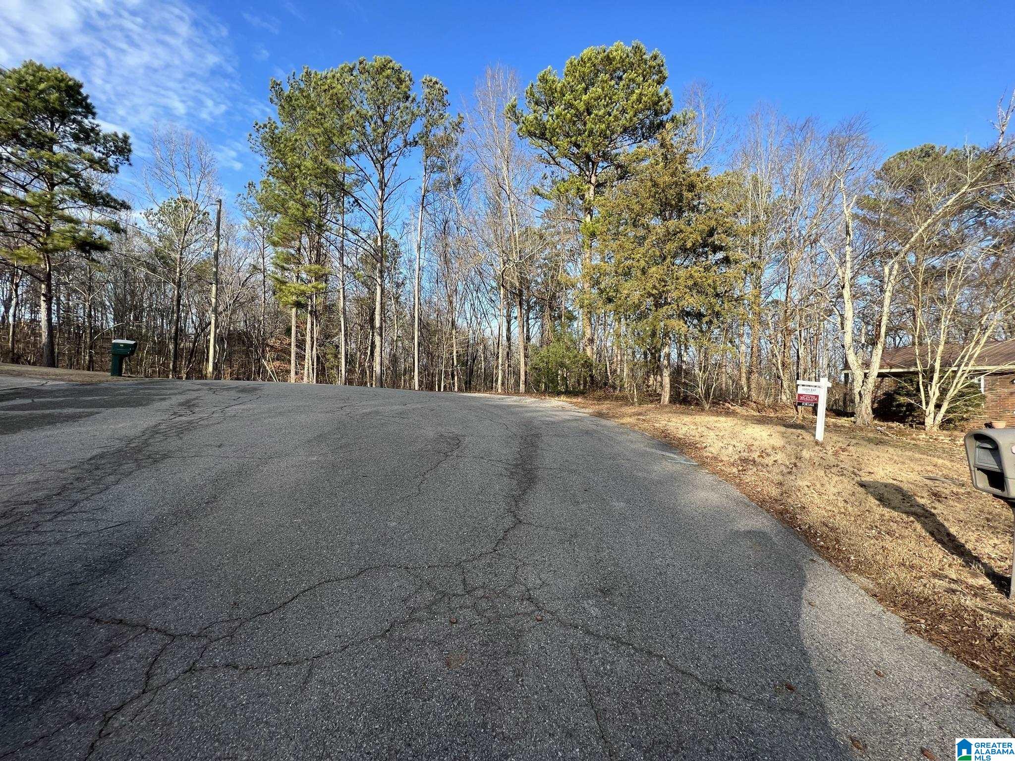 825 Rock Ridge Road Weaver, AL 36277 - Photo 20 of 21