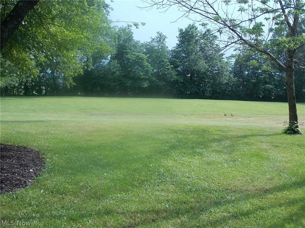 492 Wall Road Wadsworth, OH 44281 - Photo 33 of 35 Gallery Image 33
