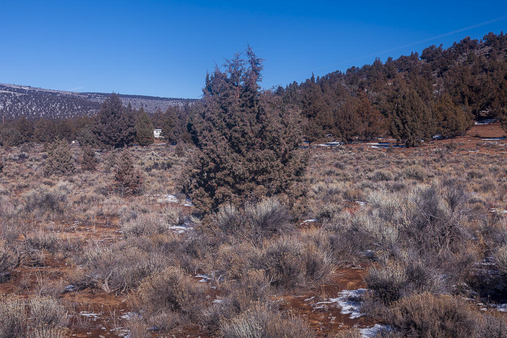 0 George Millican Road Bend, OR 97701 - Photo 5 of 34 Southwest corner of the parcel (approximate) looking North.