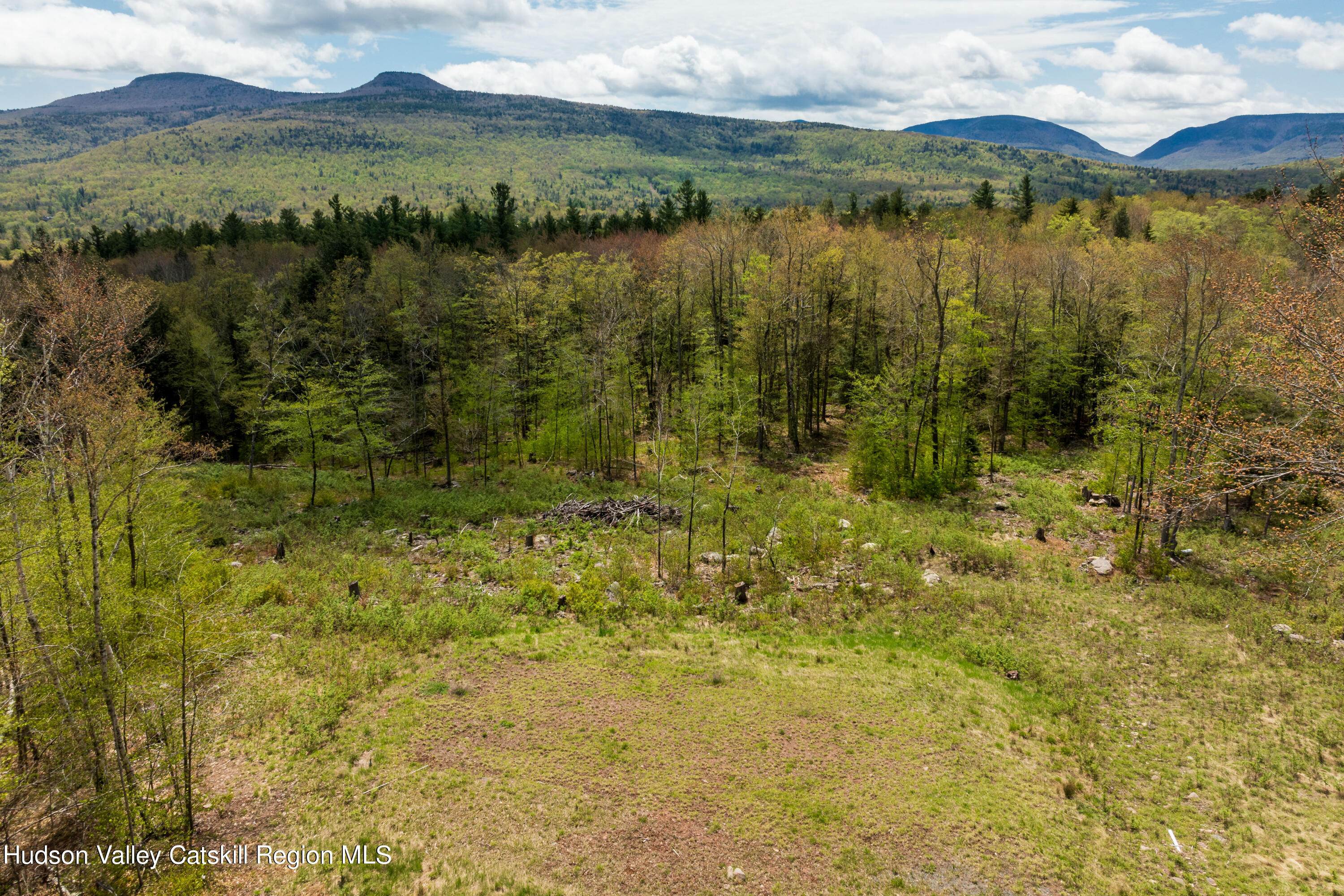 1 Legg Road Haines Falls, NY 12436 - Photo 2 of 9 B