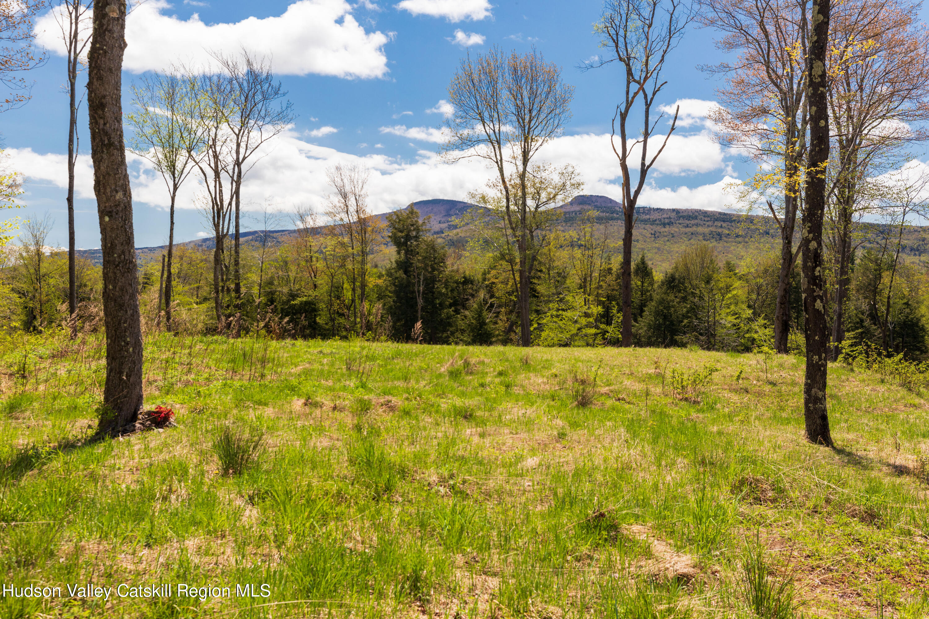 1 Legg Road Haines Falls, NY 12436 - Photo 3 of 9 C