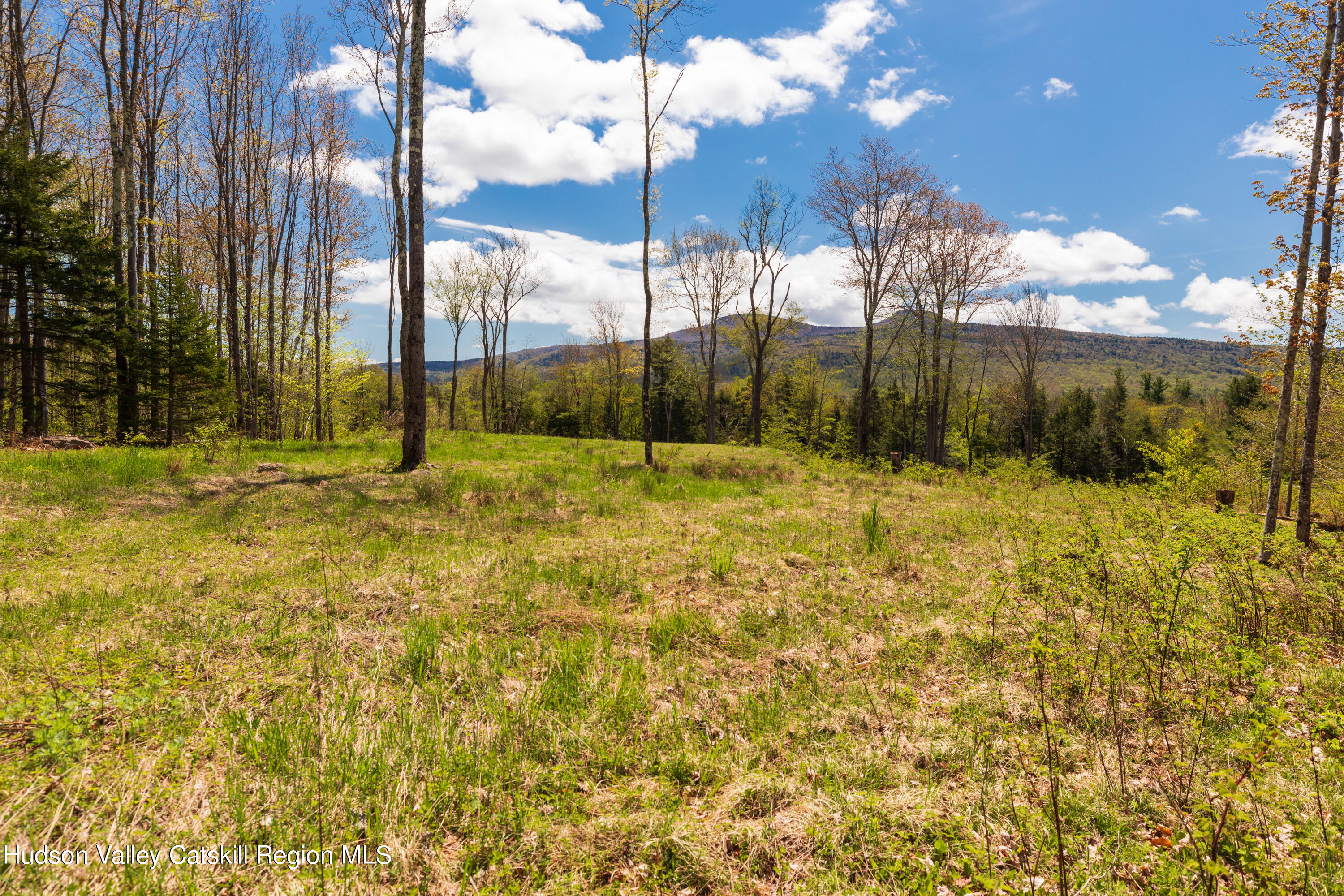 1 Legg Road Haines Falls, NY 12436 - Photo 4 of 9 D