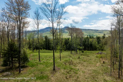 $275,000 | 1 Legg Road, Haines Falls, NY 12436