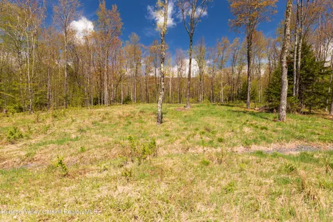 $275,000 | 1 Legg Road, Haines Falls, NY 12436