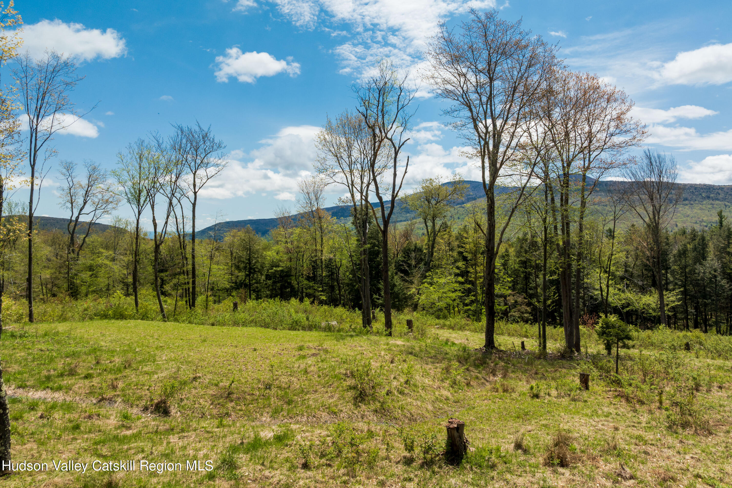 1 Legg Road Haines Falls, NY 12436 - Photo 8 of 9 H