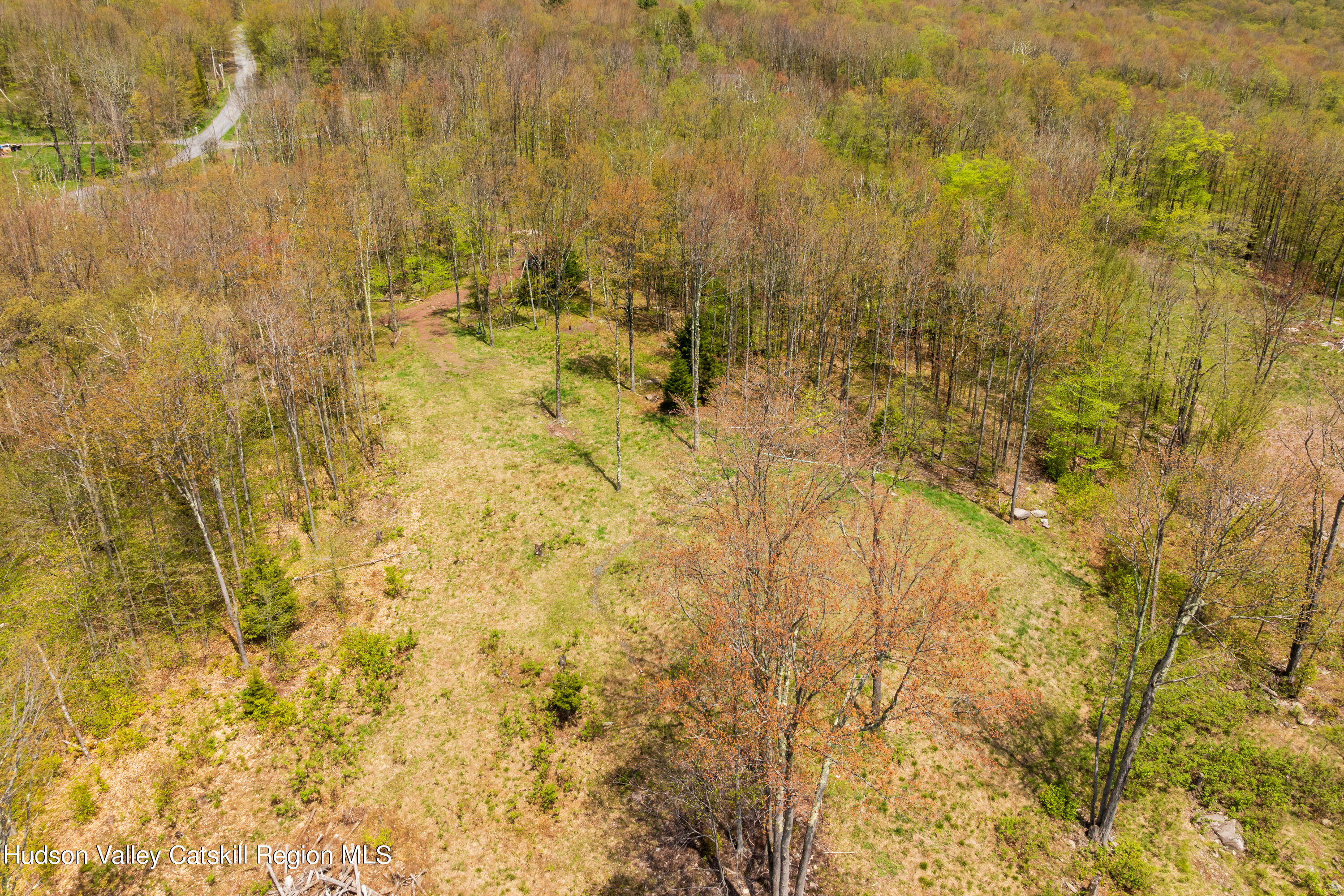 1 Legg Road Haines Falls, NY 12436 - Photo 9 of 9 I