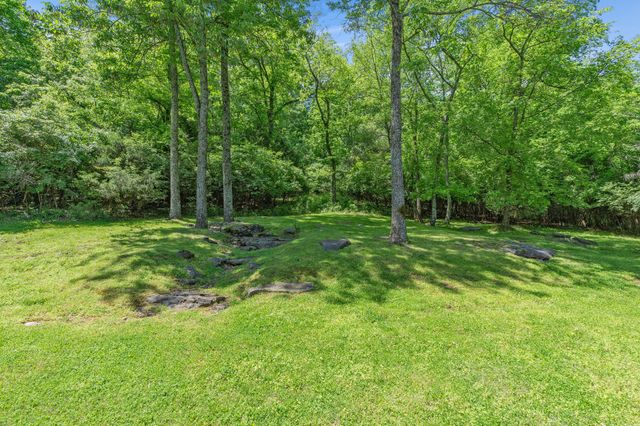 a view of a park with a tree in the background