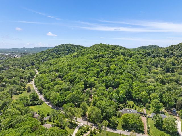 a view of a green field with lots of bushes