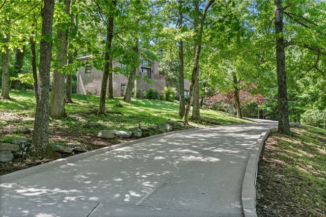 a view of a tree in the middle of a yard