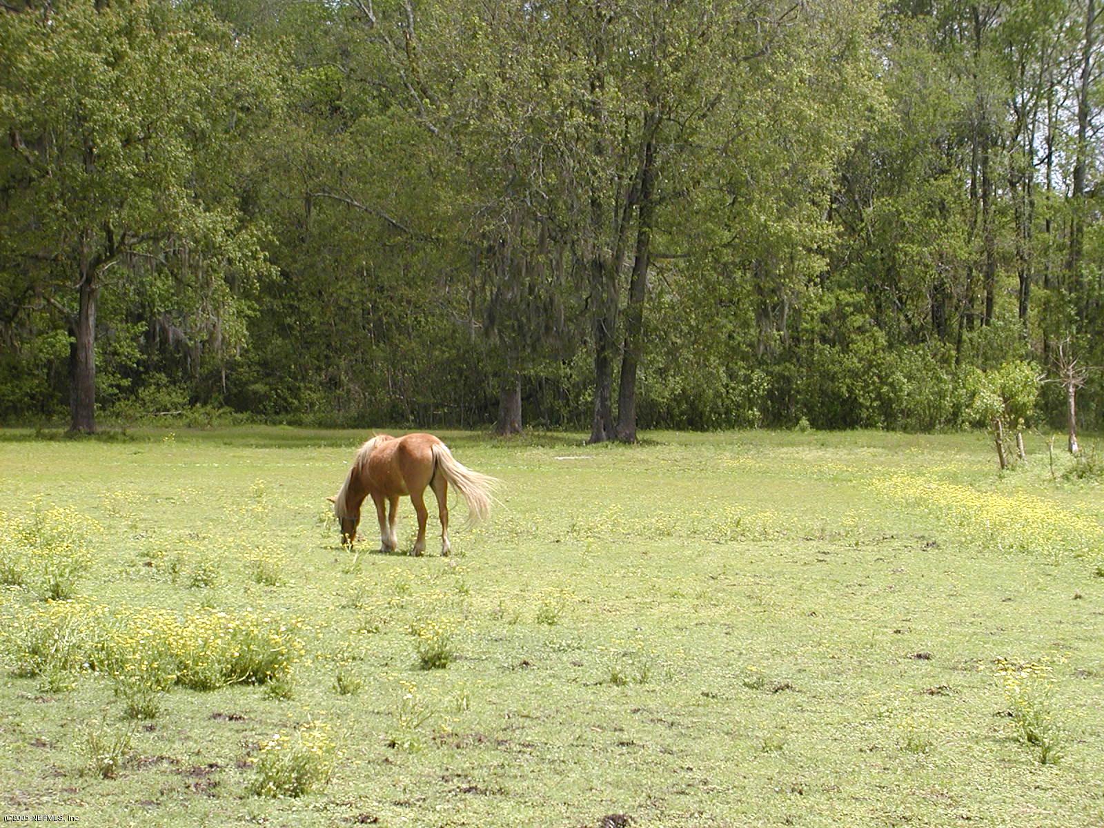 3335 Yellow Water Road Jacksonville, FL 32234 - Photo 1 of 4 Yellow Water 1