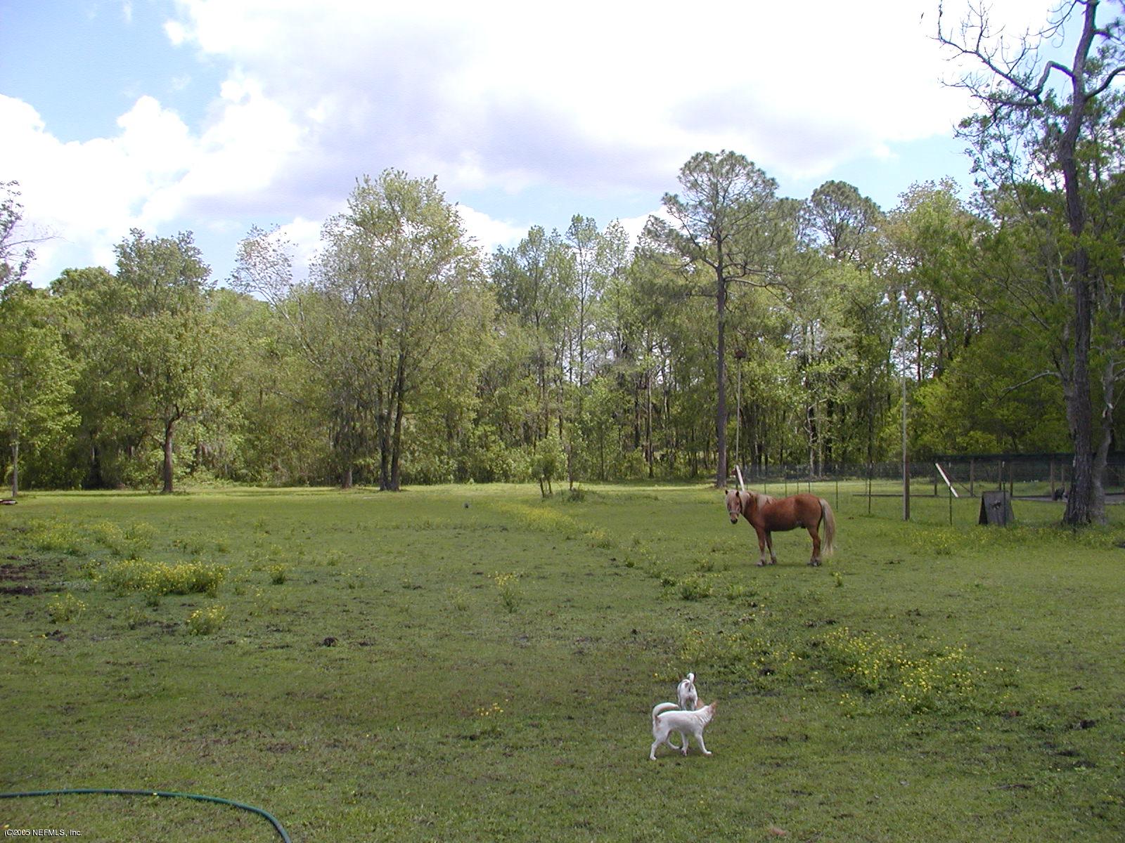 3335 Yellow Water Road Jacksonville, FL 32234 - Photo 3 of 4 Yellow Water Field View 2