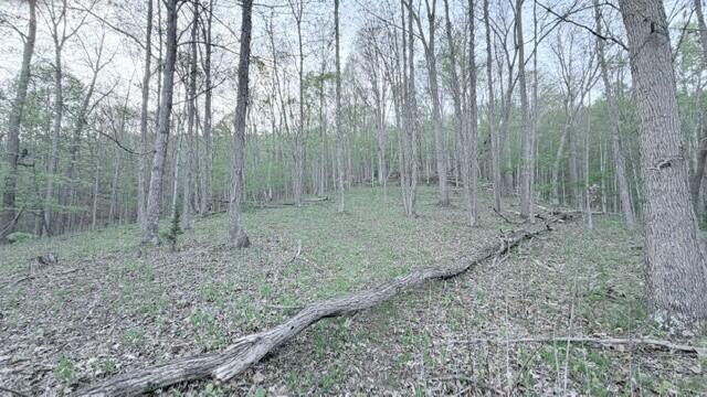 2463 Willow Bend Road Lindside, WV 24951 - Photo 45 of 75 Gallery Image 45