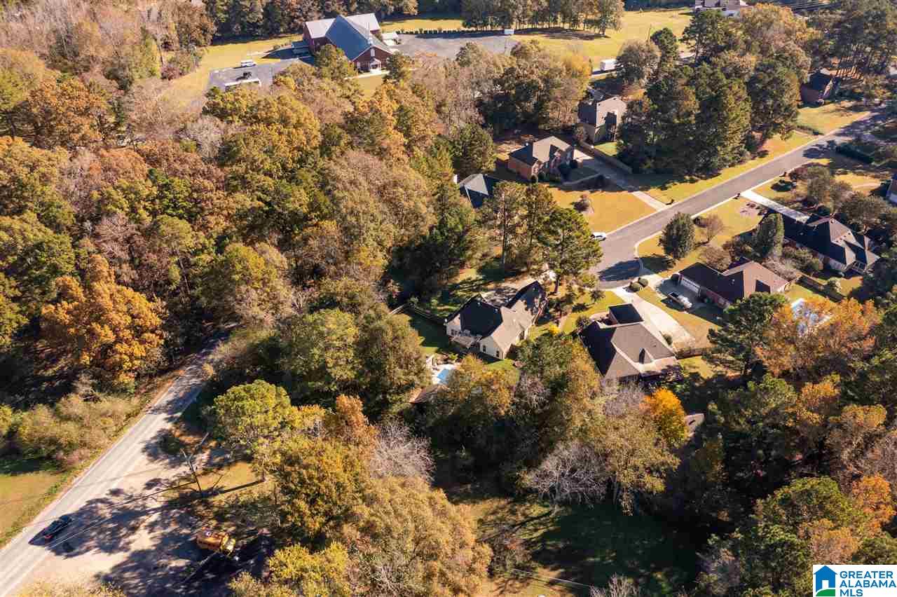155 Meadow Brook Springville, AL 35146 - Photo 42 of 49