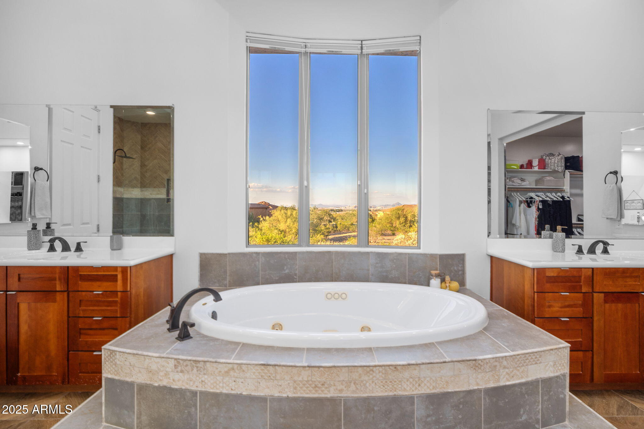 10302 South 16th Avenue Phoenix, AZ 85041 - Photo 51 of 74 a bathroom with a tub a sink and mirror