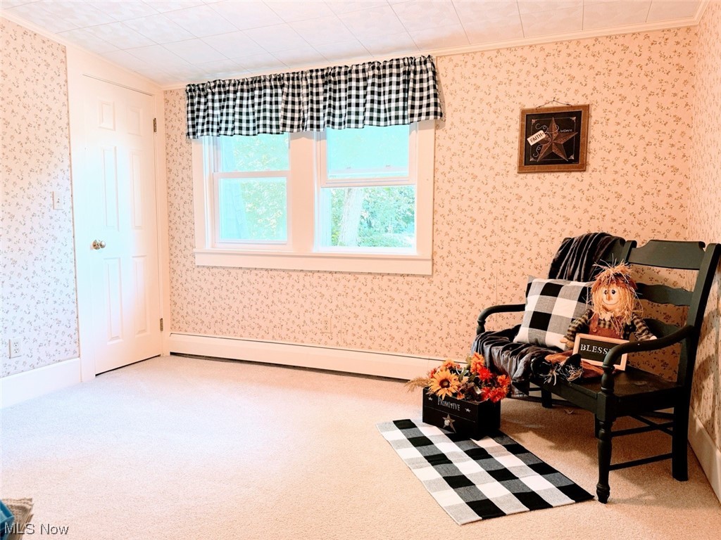 1639 Stonehaven Road Madison, OH 44057 - Photo 27 of 35 Sitting room with light colored carpet and baseboard heating