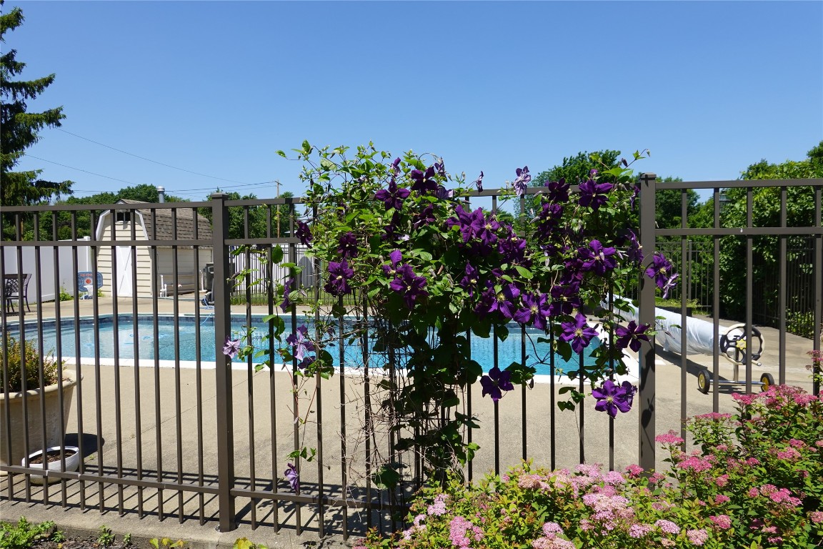 564 Jones Road Vestal, NY 13850 - Photo 6 of 44 Gallery Image 6