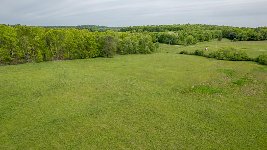1158 Burns Road Venus, PA 16364 - Photo 8 of 46 Gallery Image 8