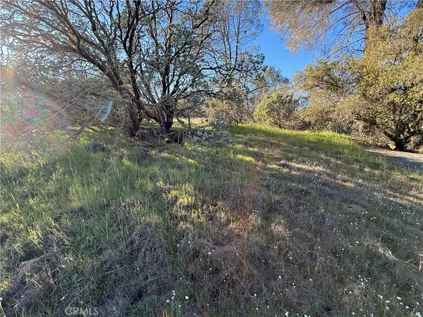$87,000 | 0 Long Hollow Drive, Coarsegold, CA 93614
