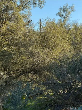 $87,000 | 0 Long Hollow Drive, Coarsegold, CA 93614