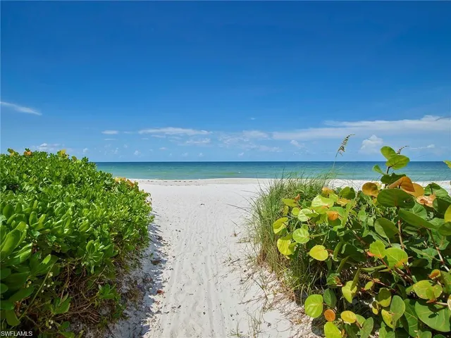 a view of beach and lake