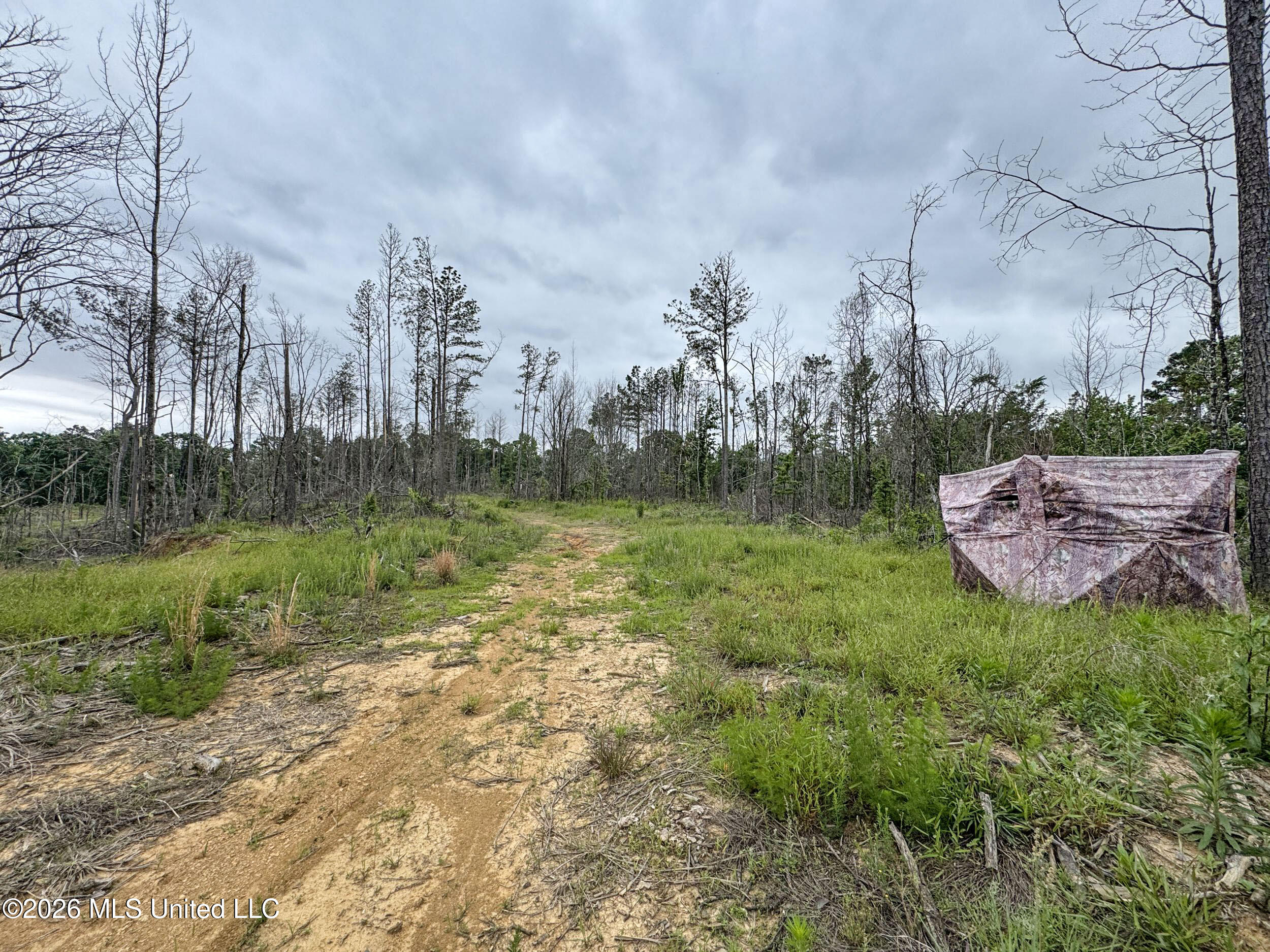 Wayne Massie Road Como, MS 38619 - Photo 153 of 184 5cdtbs98