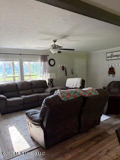1241 Old River Road Petal, MS 39465 - Photo 8 of 23 Living Room