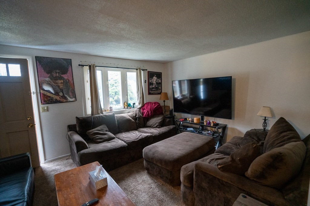 115 Belchertown Road Amherst, MA 01002 - Photo 3 of 18 a living room with furniture and a flat screen tv