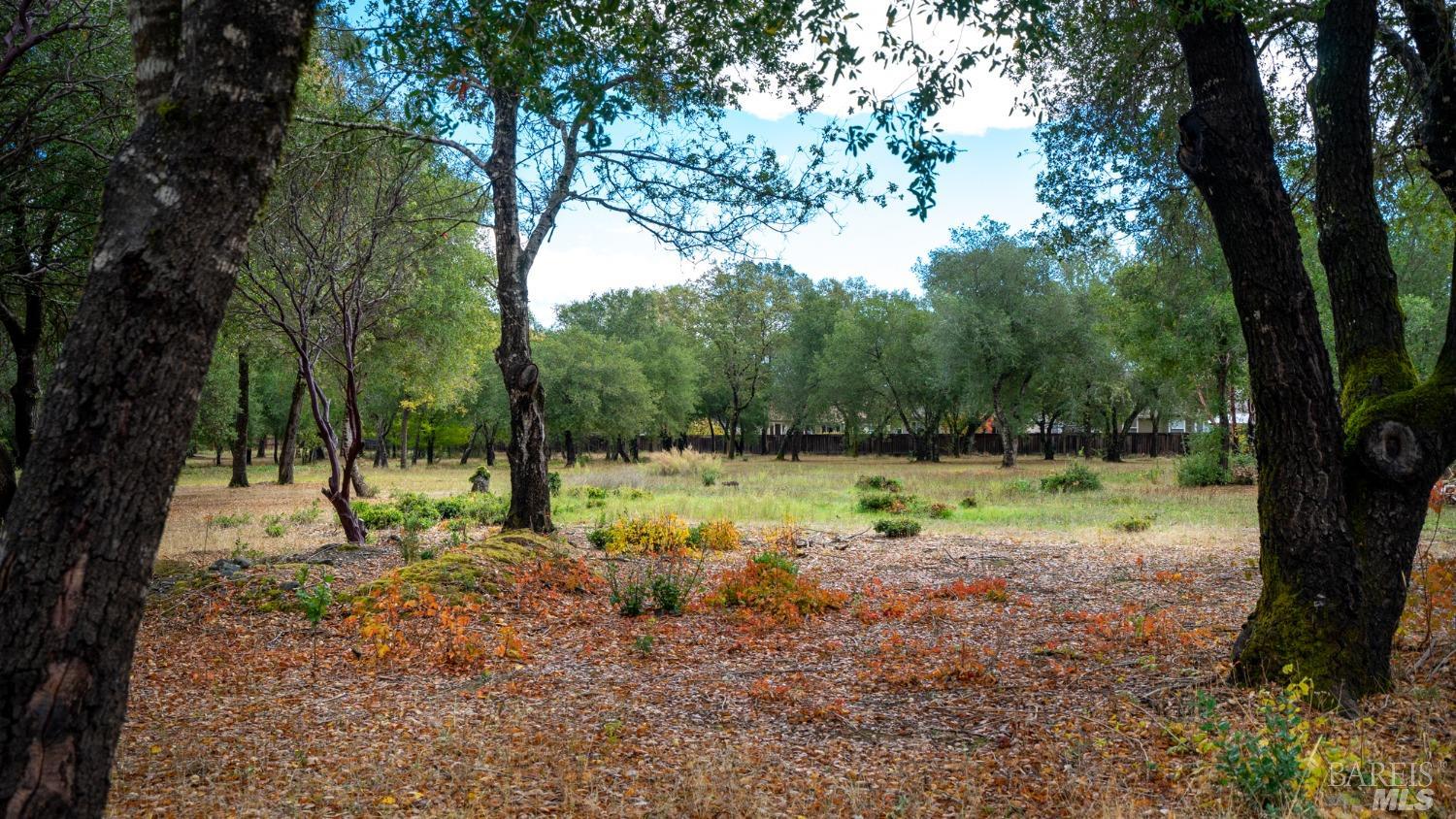 593 West 2nd Street Cloverdale, CA 95425 - Photo 13 of 48