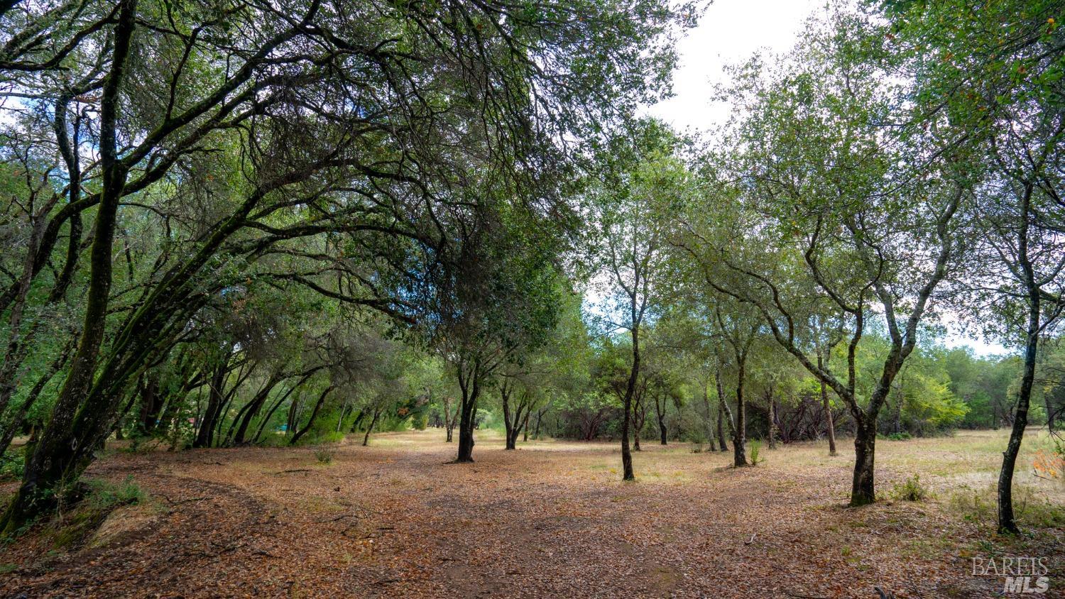 593 West 2nd Street Cloverdale, CA 95425 - Photo 14 of 48