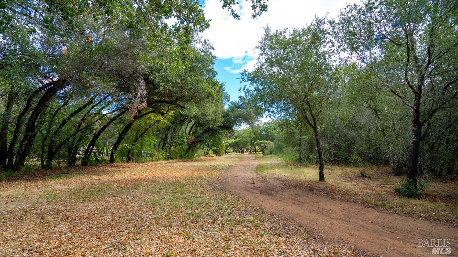 593 West 2nd Street Cloverdale, CA 95425 - Photo 16 of 48