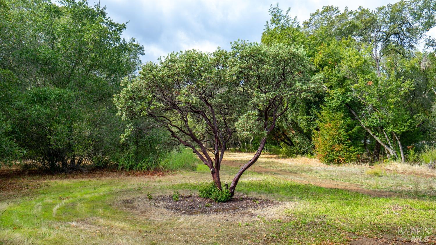593 West 2nd Street Cloverdale, CA 95425 - Photo 17 of 48