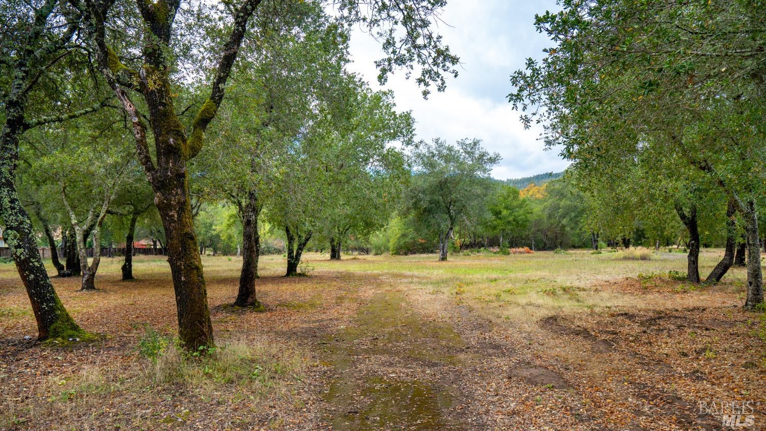 593 West 2nd Street Cloverdale, CA 95425 - Photo 20 of 48