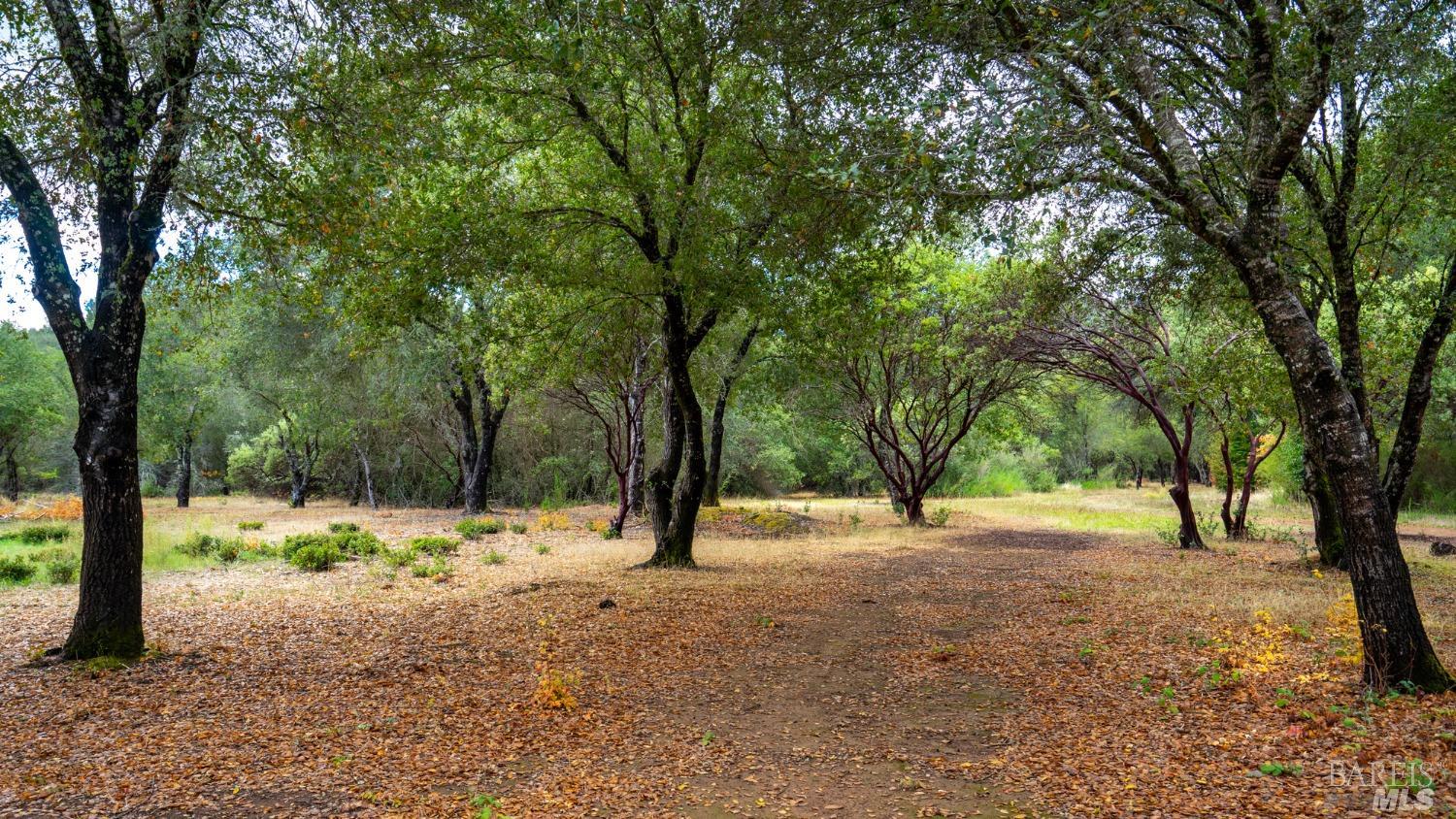 593 West 2nd Street Cloverdale, CA 95425 - Photo 24 of 48