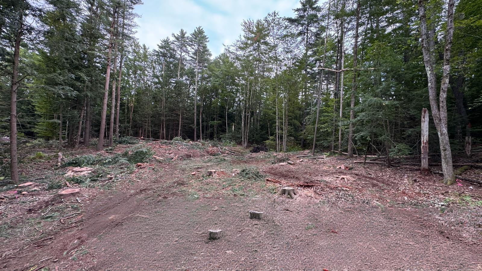 Lot A Lot A Road, Unit LOT A North Waterboro, ME 04061 - Photo 16 of 19 WhatsApp Image 2025-10-15 at 22.02.35_e2