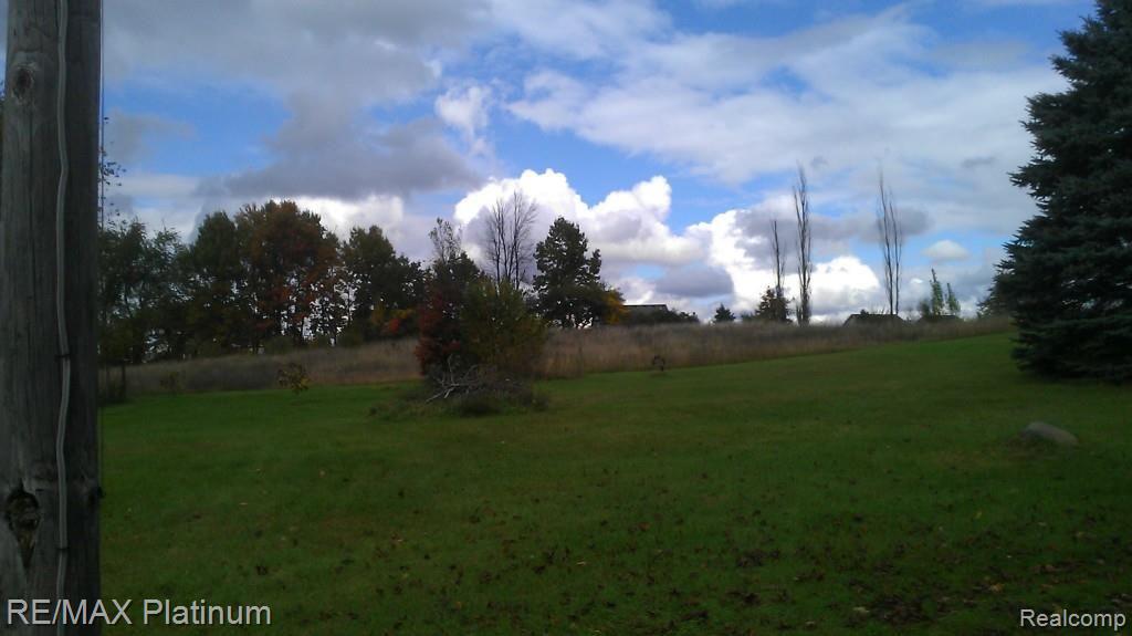 7891 Bergin Road Howell, MI 48843 - Photo 3 of 4 Bergin backyard.jpg