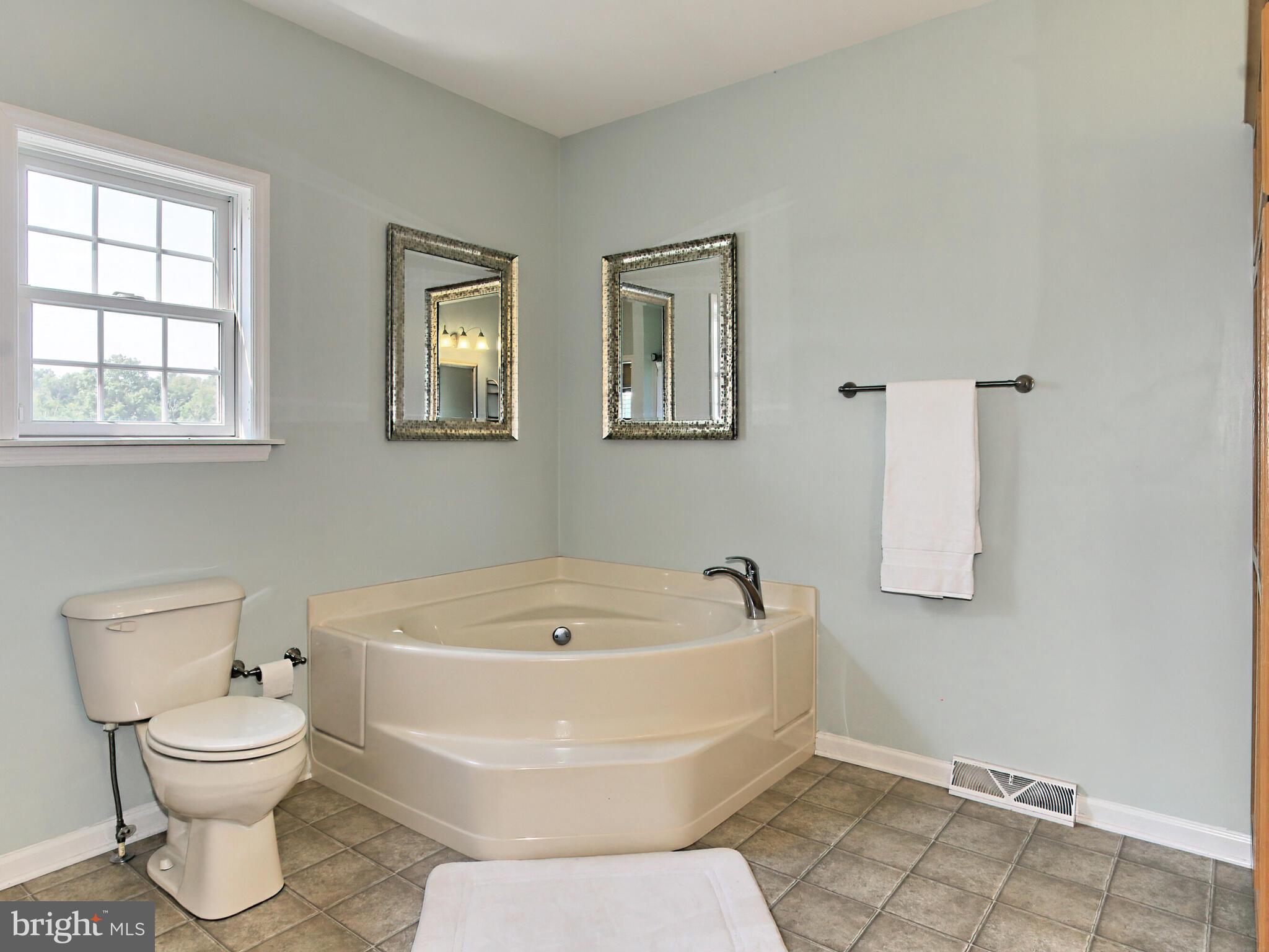 4386 Catlett Road Midland, VA 22728 - Photo 29 of 97 Huge soaking tub for those long days in the saddle