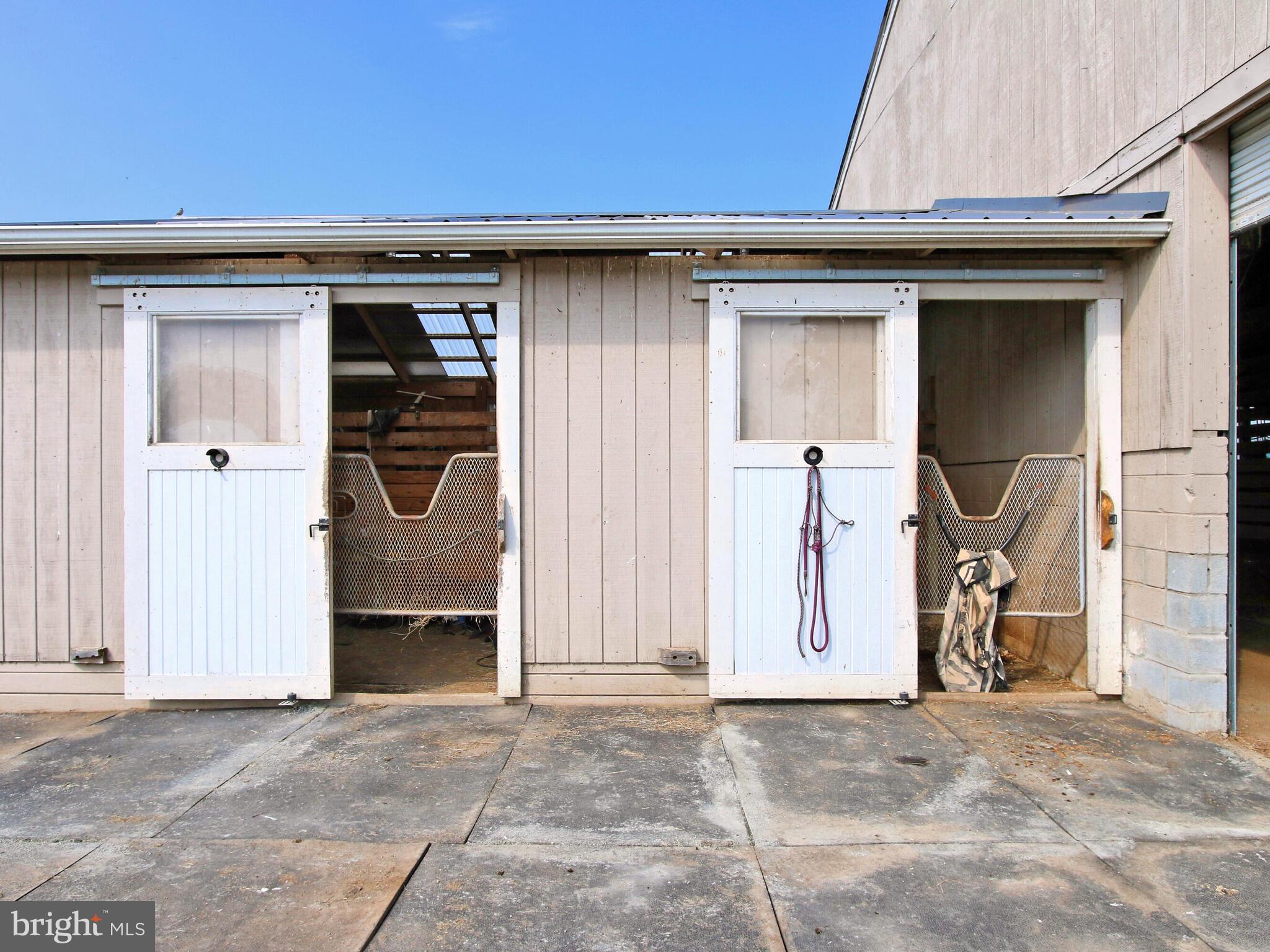 4386 Catlett Road Midland, VA 22728 - Photo 75 of 97 Away from the rest of the horses