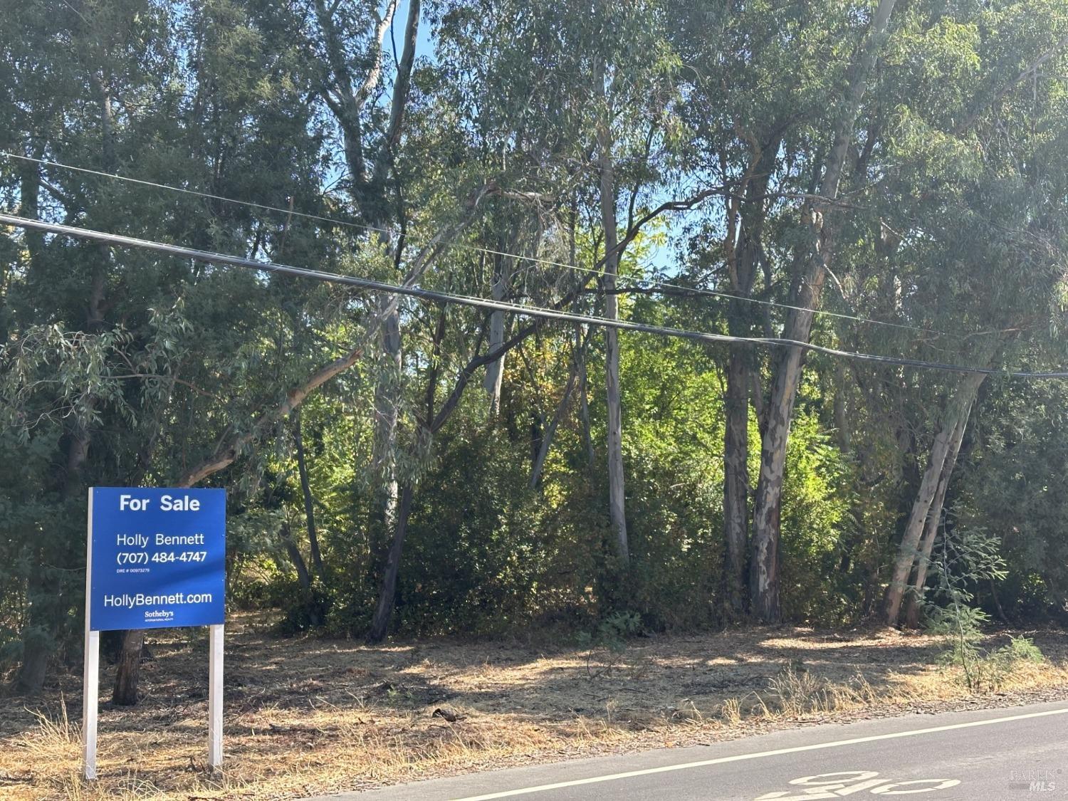 250 Napa Road Sonoma, CA 95476 - Photo 1 of 8 a view of a street sign under a large tree
