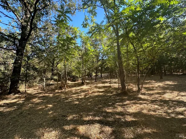 $1,100,000 | 250 Napa Road, Sonoma, CA 95476