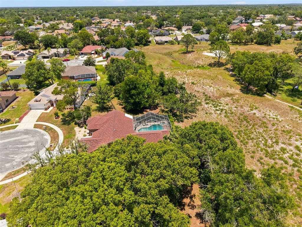 10296 Windsor Court Spring Hill, FL 34608 - Photo 57 of 69