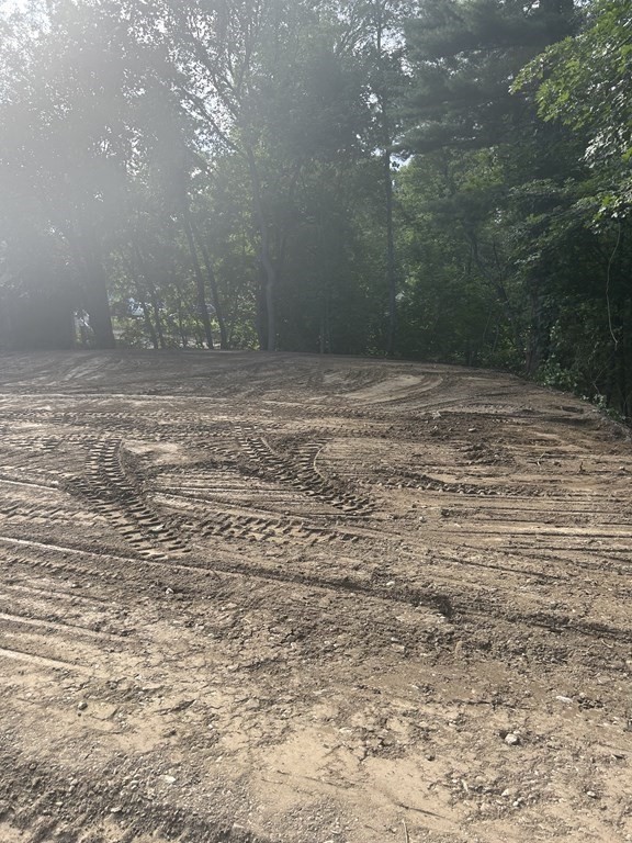 3 Crest Avenue Worcester, MA 01607 - Photo 4 of 9 a view of empty room and tree