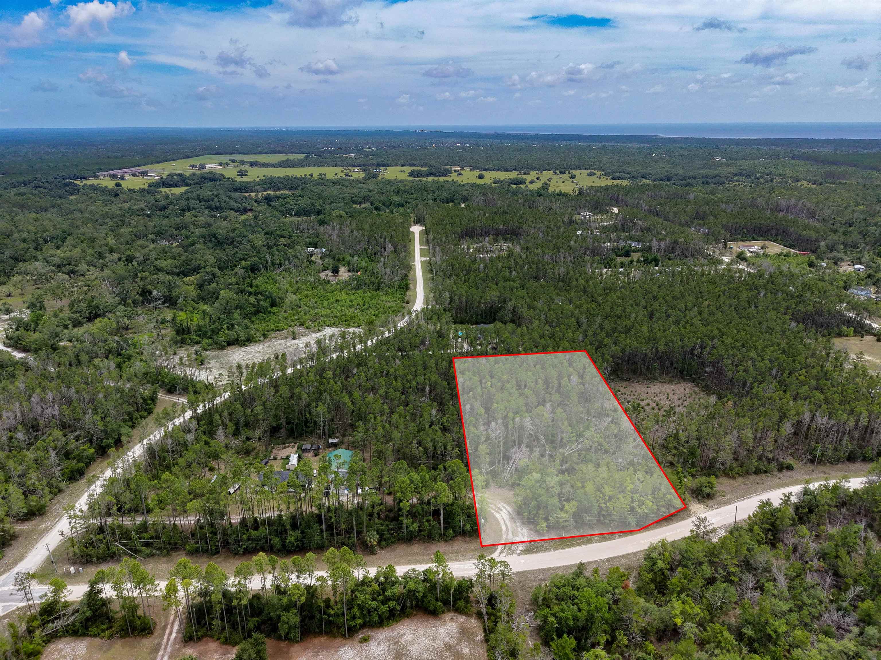 Tbd Ocean Pond Road Perry, FL 32348 - Photo 12 of 21