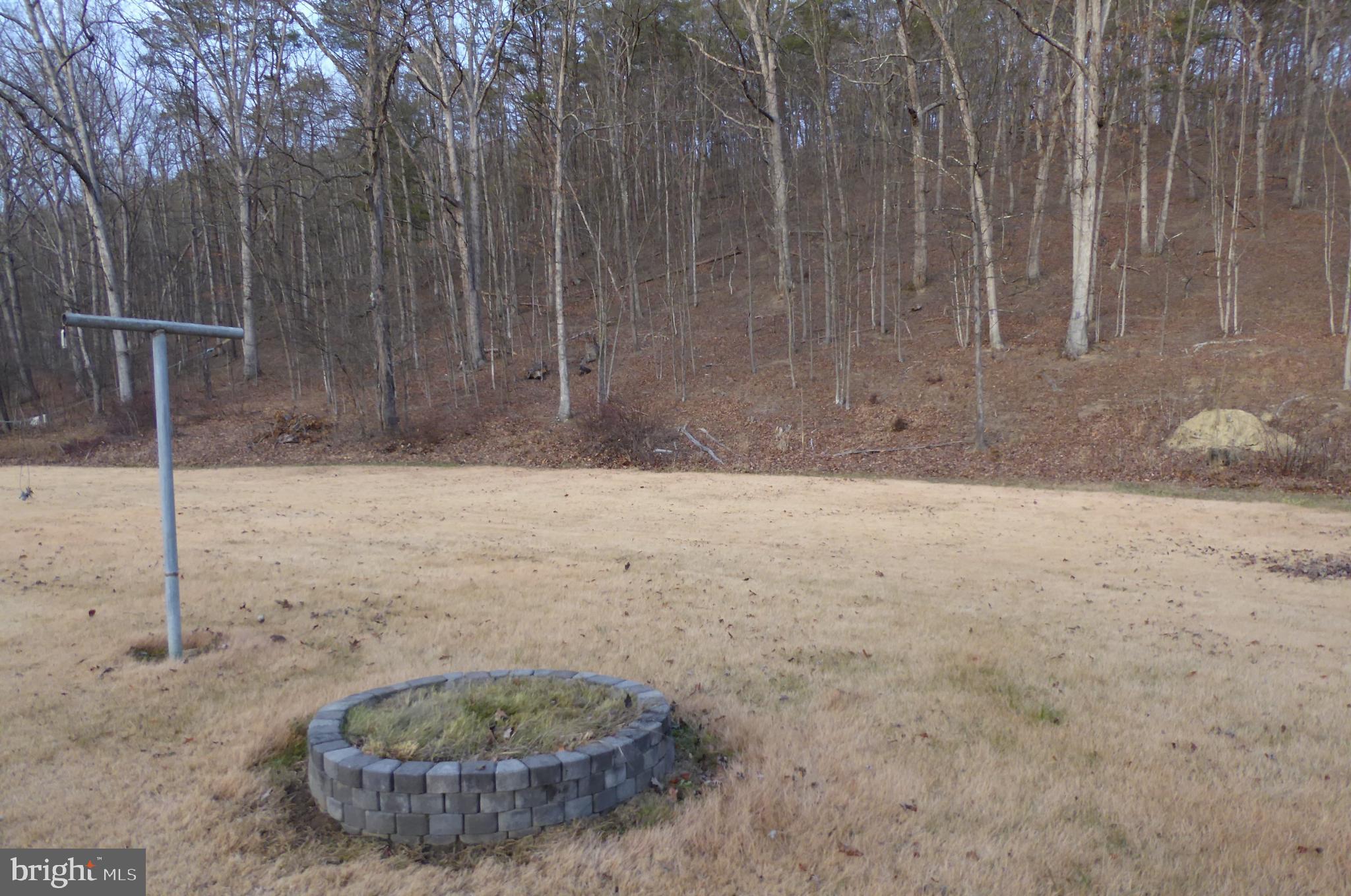102 Dry Run Road Burlington, WV 26710 - Photo 15 of 85 Serene landscape with wooded backdrop.