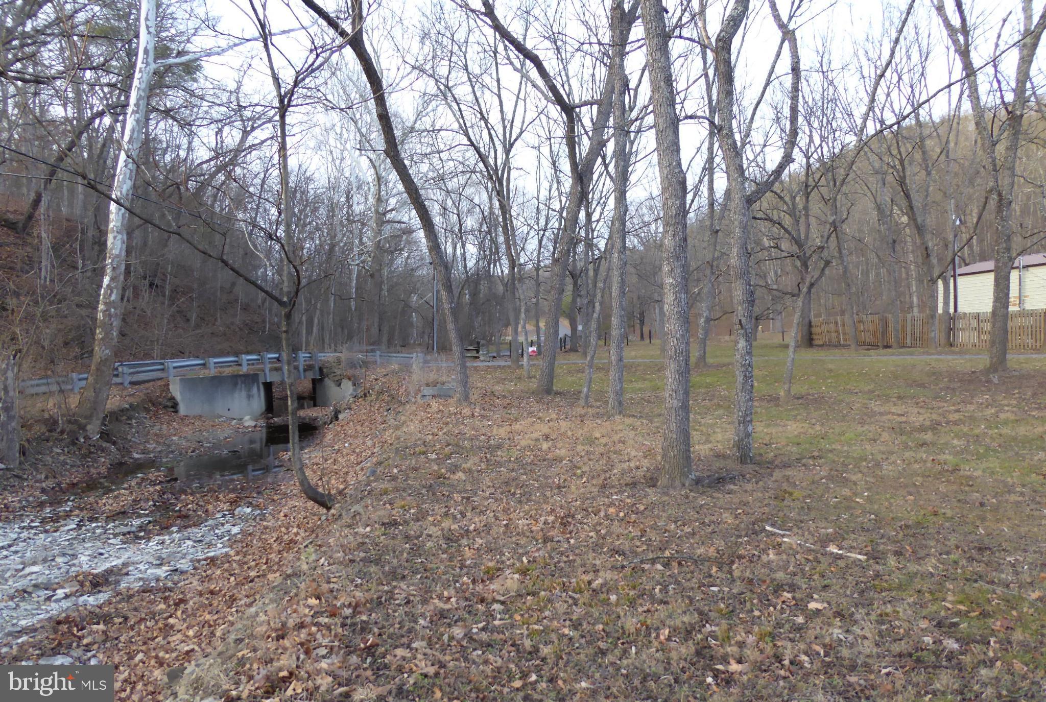 102 Dry Run Road Burlington, WV 26710 - Photo 4 of 85 Serene landscape with winding creek and trees.