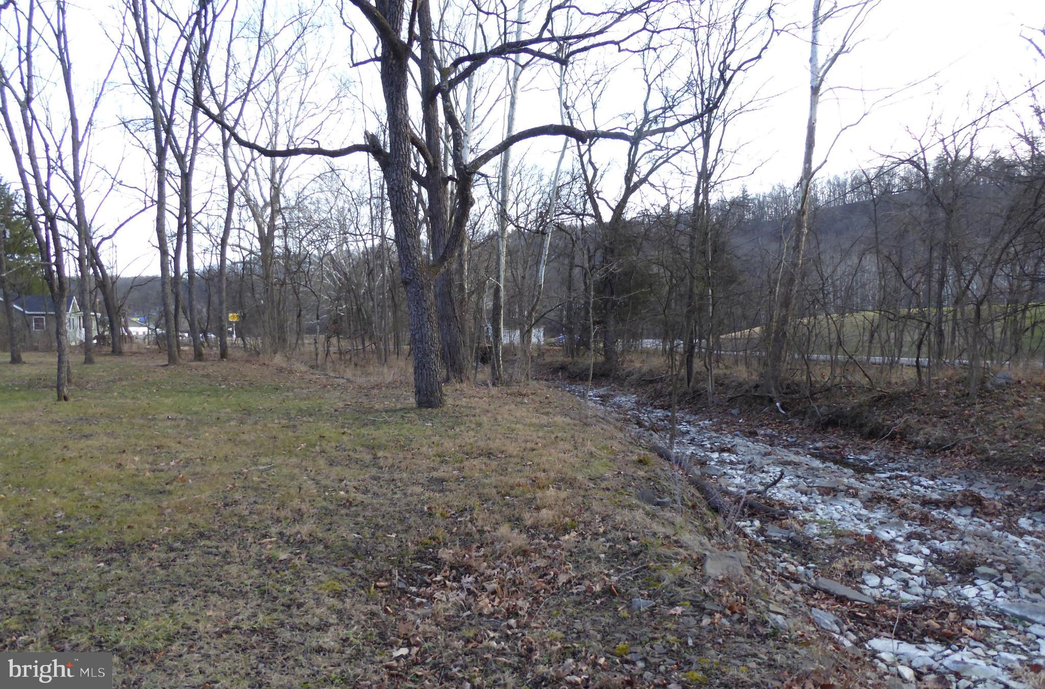 102 Dry Run Road Burlington, WV 26710 - Photo 5 of 85 Serene landscape with a winding creek.