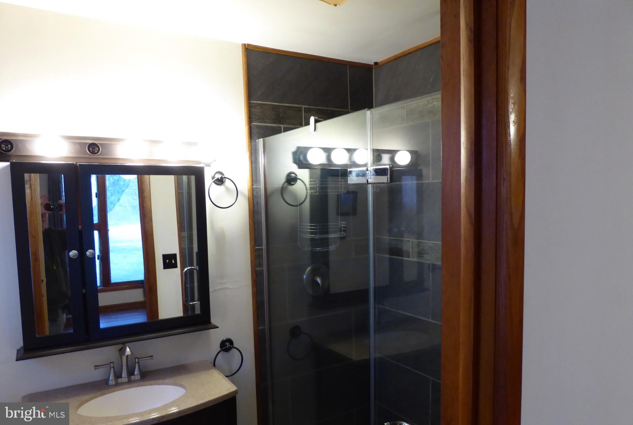 102 Dry Run Road Burlington, WV 26710 - Photo 56 of 85 Modern bathroom with sleek glass shower.