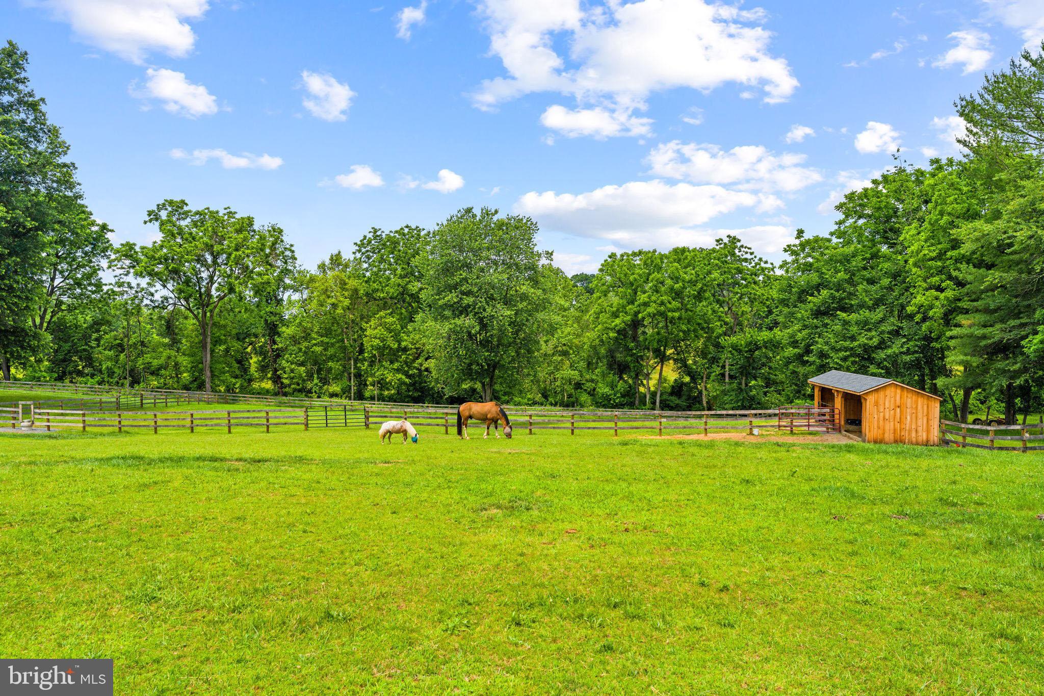 20103 Shelburne Glebe Road Purcellville, VA 20132 - Photo 46 of 60