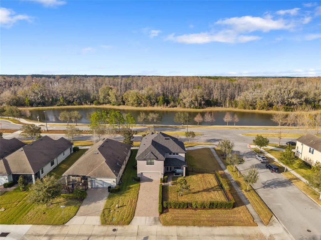 12476 Rangeland Boulevard Odessa, FL 33556 - Photo 58 of 76