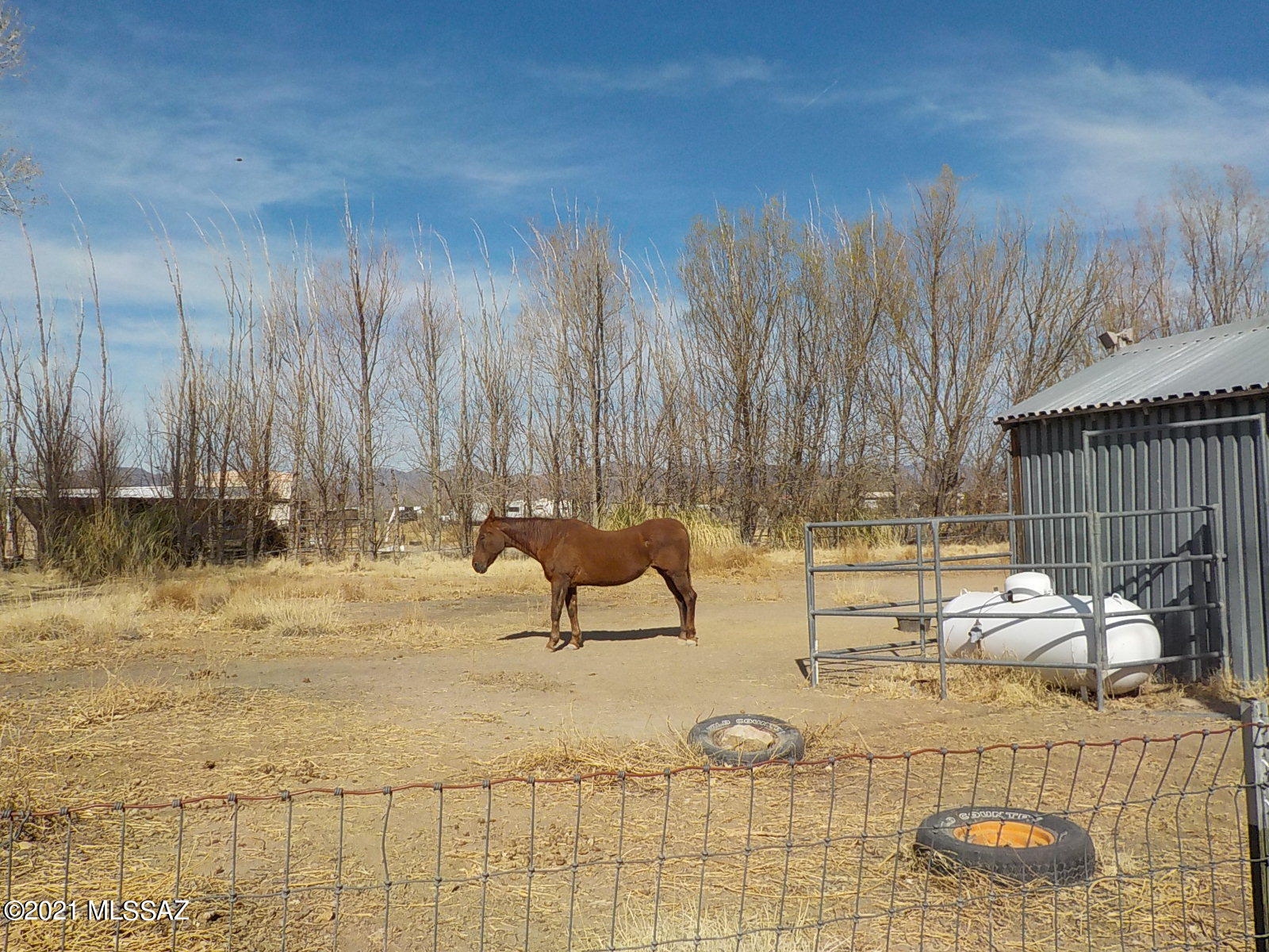 271 North Taylor Road Willcox, AZ 85643 - Photo 36 of 50